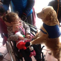 Ce chien d'éveil qu'attend avec impatience ma petite Capucine...